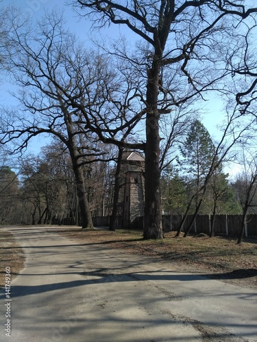 tower
