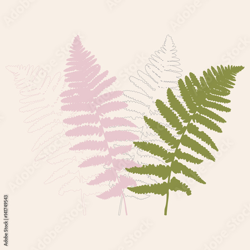 Floral background with hand drawn wild  fern leaves in green, pink and gray p...