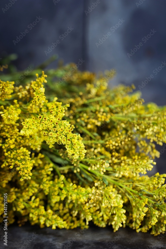 Bunch of Yellow flowers background - Spring concept, soft focus Bunch of Yellow flowers background - Spring concept, soft focus