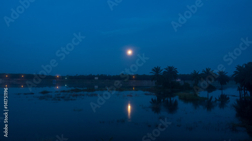 reflextion of the moon in the swamp