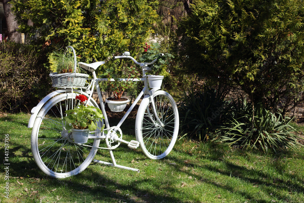  bicycle with flowers pots
