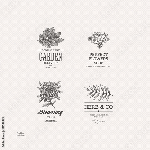 Vintage nature logo collection. Engraved logo set. Vector illustration