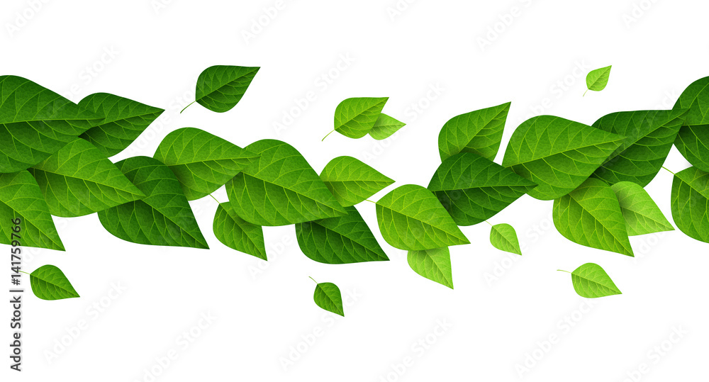 Horizontal border with green leaves Horizontal border with green leaves