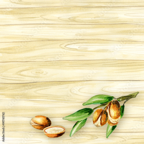 Top view of argan nuts on the table template. Watercolor