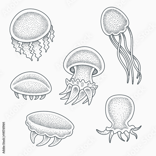 Small baby jellyfishes vector illustration. Blackwork dotwork tattoo design.