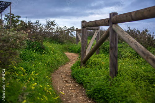 Walkway / footpath among the grass on a cliff, along a wooden fence in Portimao, Portugal. Rock Beach Praia da Rocha in Portimao. Algarve. Portugal.