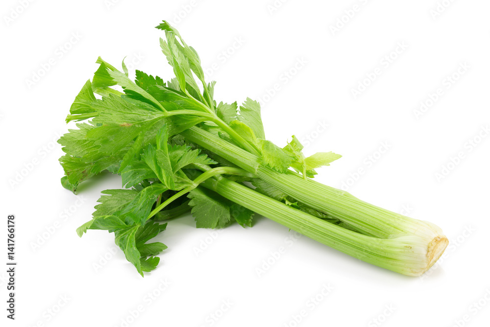 fresh celery isolated on a white background. fresh celery isolated on a white background.