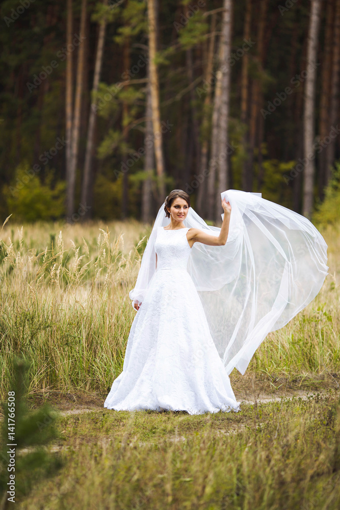 A beautiful bride in a white dress among the ears