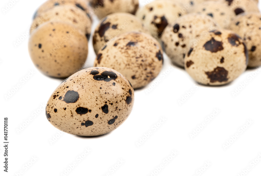 Scattered raw quail eggs on a white background Scattered raw quail eggs on a white background