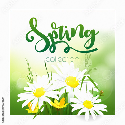 Spring Time on background with spring flowers