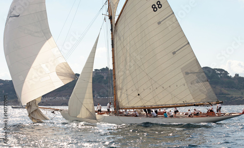 Les voiles de St Tropez