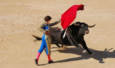 Poster Stierenvechten Corrida traditie in Spaanse arena  © Tilio & Paolo