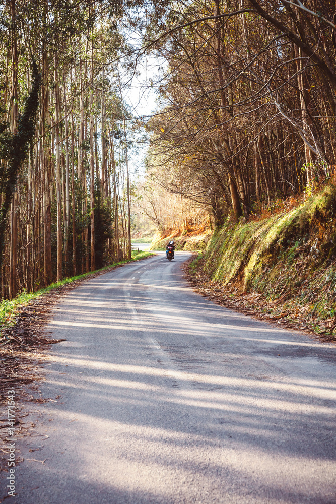 Forest road landscape in autumn with couple riding a motorbike in the background Forest road landscape in autumn with couple riding a motorbike in the background