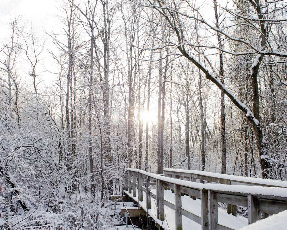 Winter Sunrise Winter Sunrise