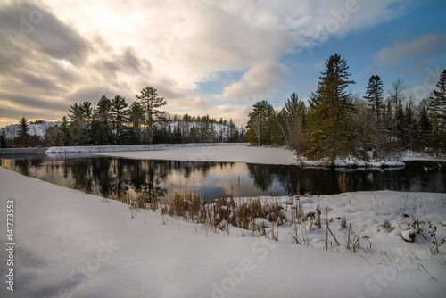 Pond reflection in the winter