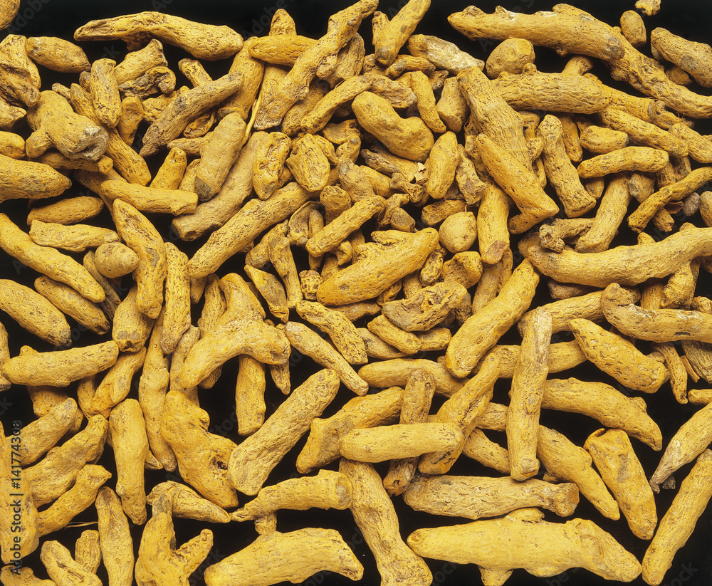 Curcuma longa / Curcuma / Safran des Indes Curcuma longa / Curcuma / Safran des Indes