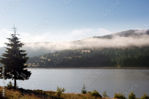 Early morning fog over the forest trees by the mountain lake