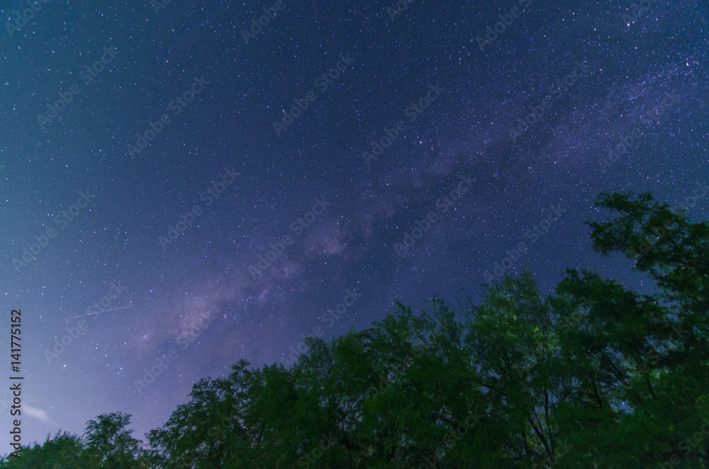 Naklejka premium milky way over the beach