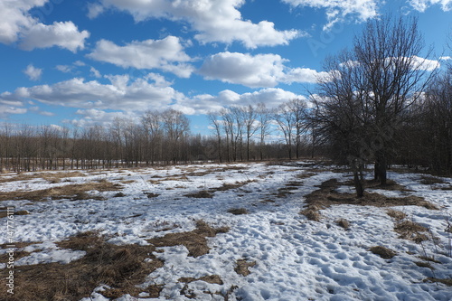 In the early spring with warm and bright the sun