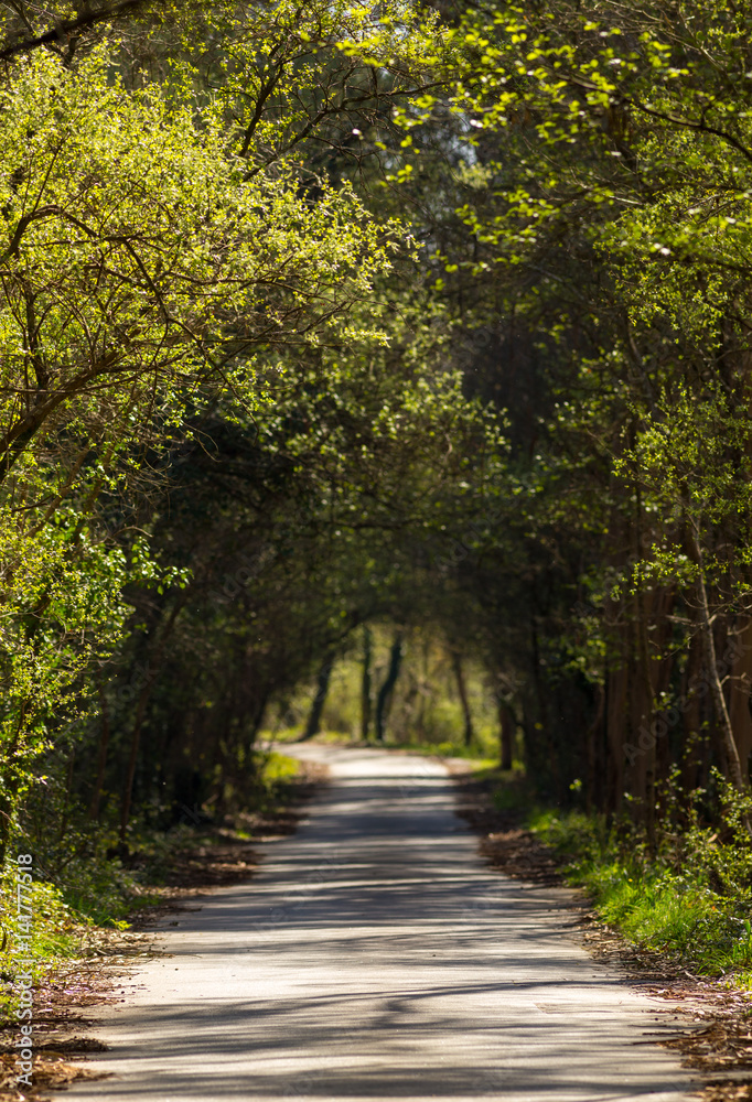 Natural Tunnel Pathway, Geres National Park, Center View.