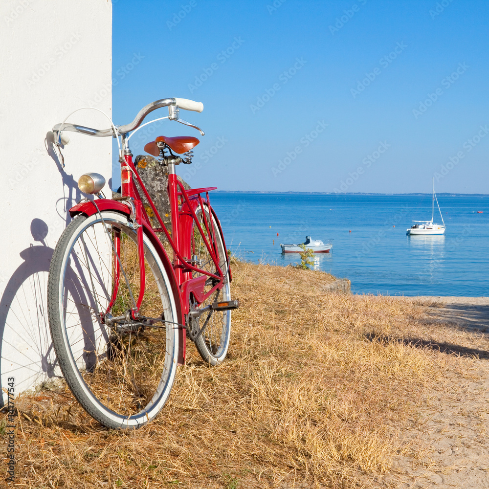 Fototapeta premium Balade à vélo sur les côtes vendéennes