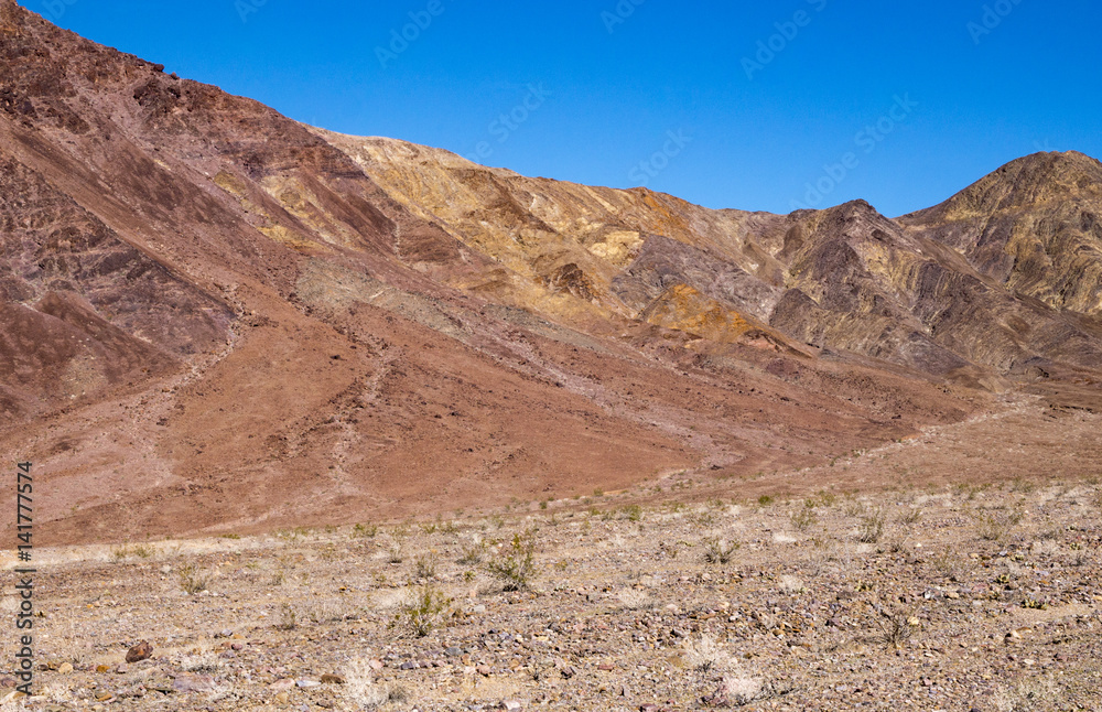 Amargosa Desert Landscape
