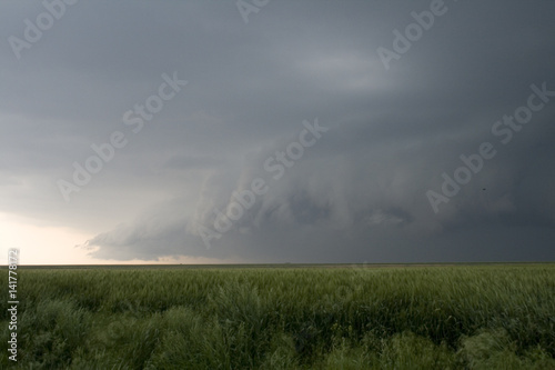 Arcus / Base d'un Cumulonimbus