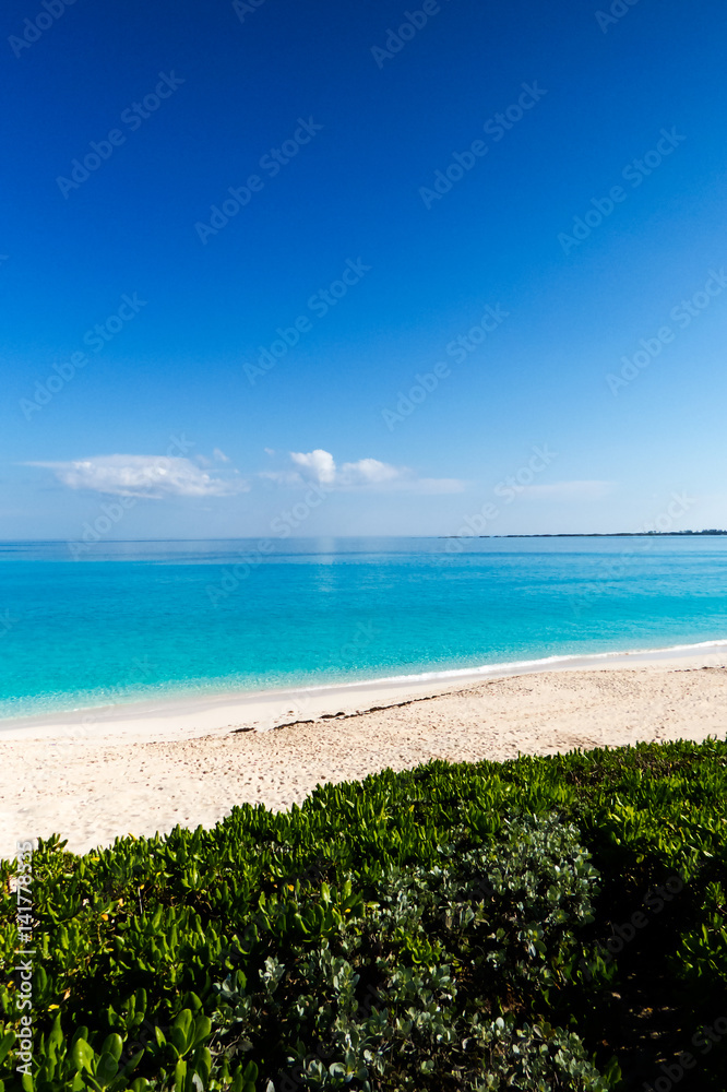 The beach, vegetation, and the ocean from a high point of view. New Providence, Nassau, Bahamas.