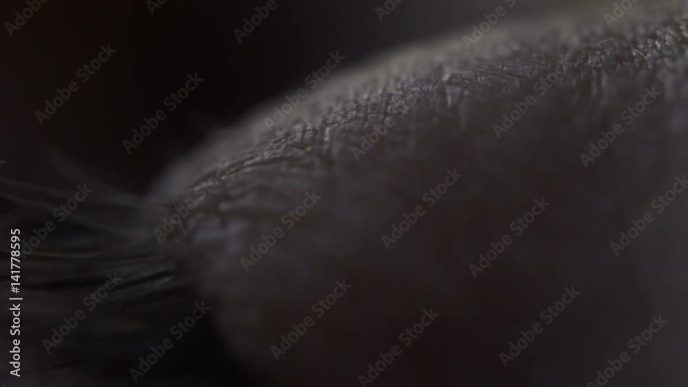 Macro Eye detail footage