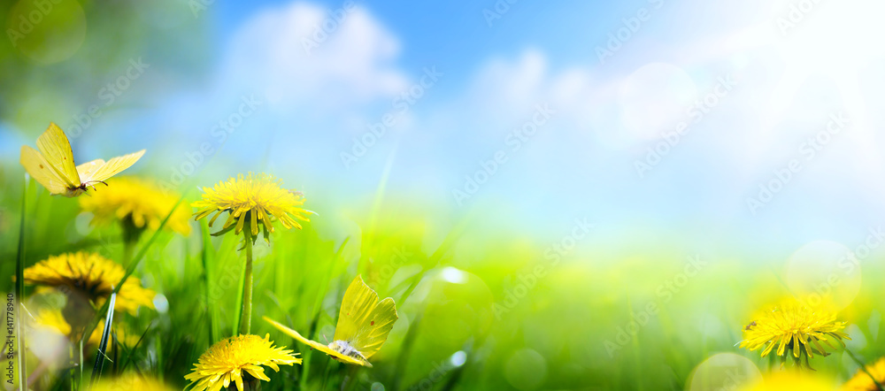 Easter spring flower background; fresh flower and yellow butterfly on green  grass background Stock Photo | Adobe Stock