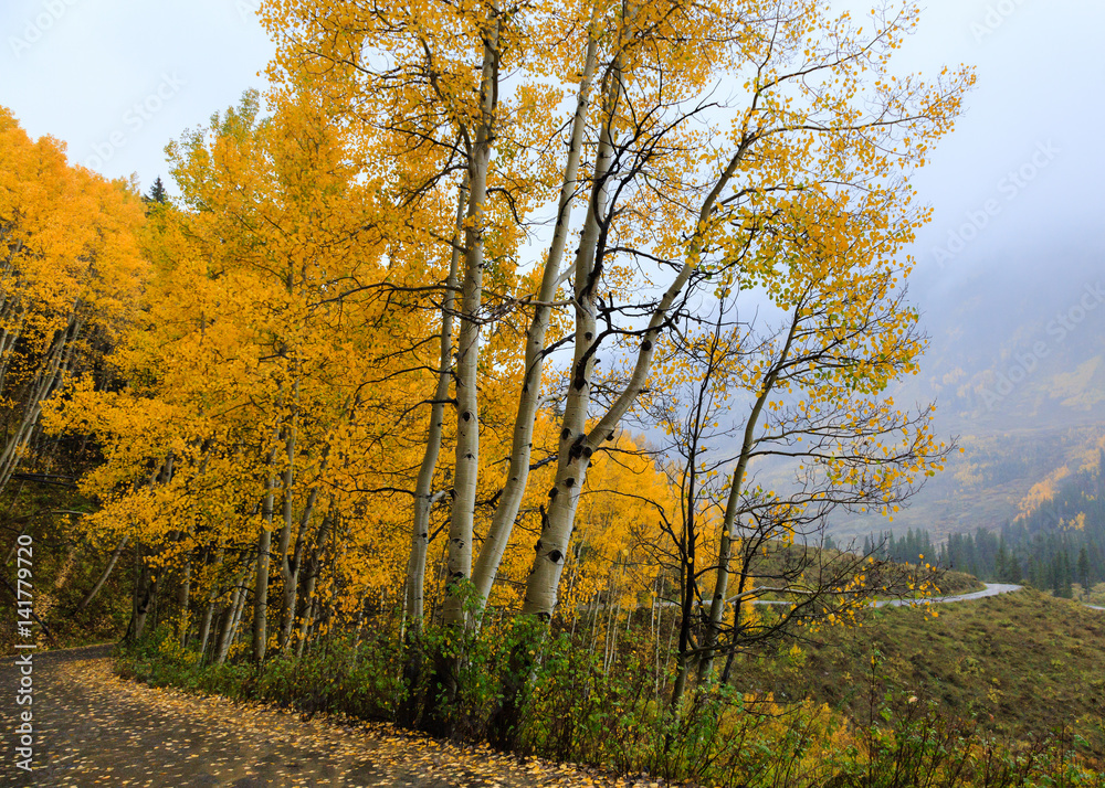 Colorado Autumn Scenic Beauty