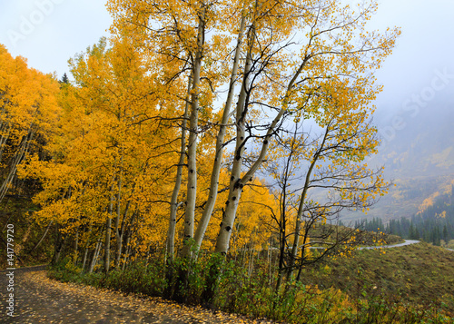 Colorado Autumn Scenic Beauty