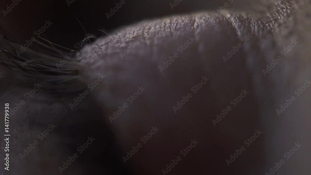 Macro Eye detail footage