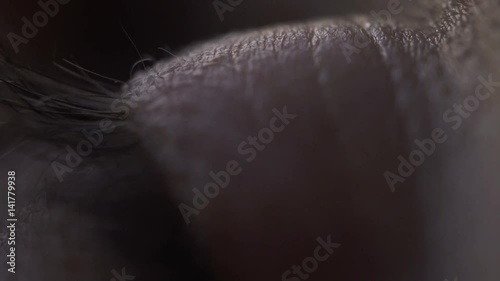 Macro Eye detail footage