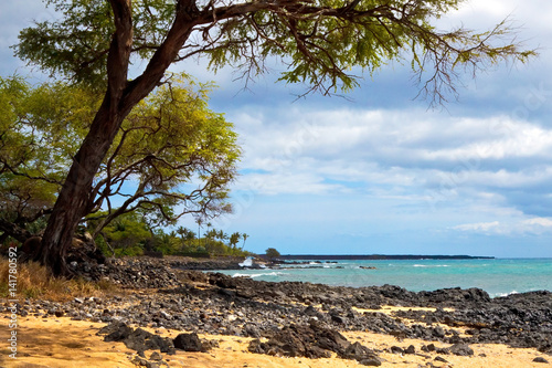 Fototapeta Naklejka Na Ścianę i Meble -  Hawaiian Island Natural Beauty