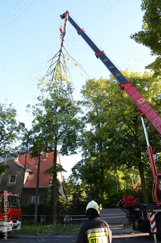 Obraz na płótnie Action firefighters - removing broken tree w salonie