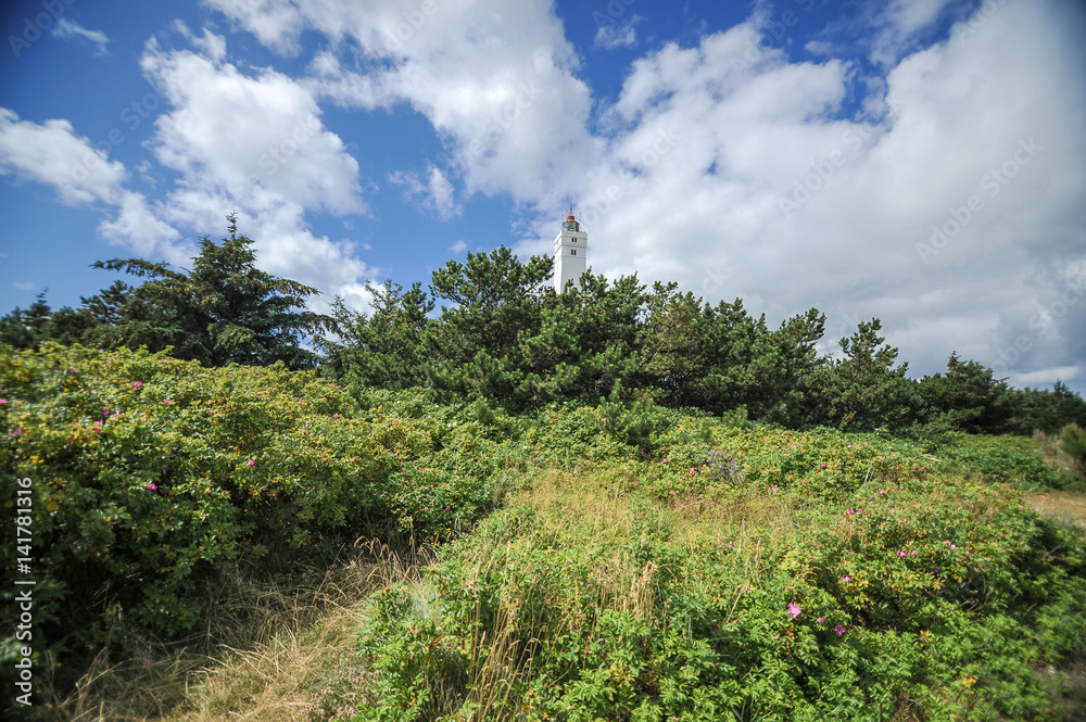 Landscape of Blavand, Denmark