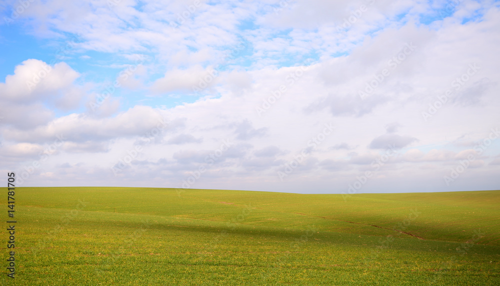 background of green field with blue sky