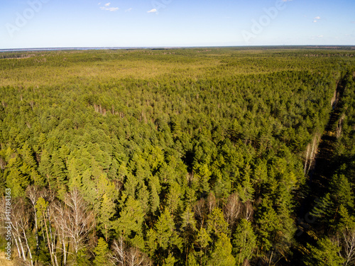 drone image. aerial view of rural area with forest road