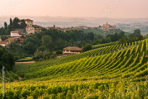 Italy, Piedmont, Cuneo district, Langhe, Castiglione Falletto, the vineyards and the castle of Castiglione Falletto photo