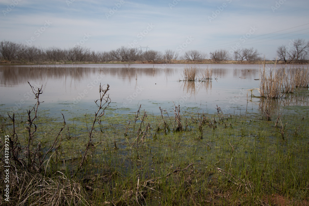 Texas solitude