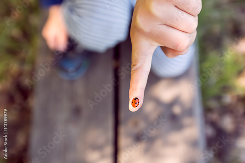 ladybug walking on the child's finger