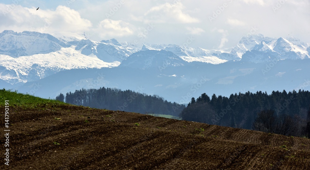 zurich oberland zurich oberland
