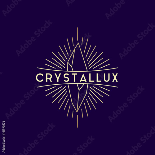 Modern vector jewellery or bijou logo