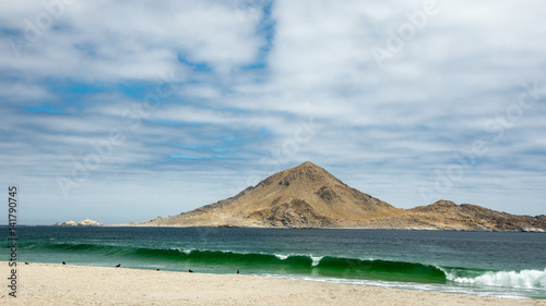 Isla Pan de Azucar Chile Playa 