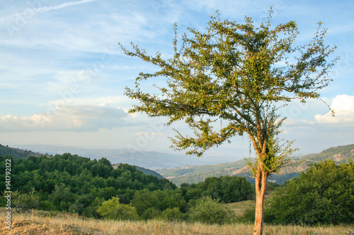 Valle del Sinni  Pollino national park