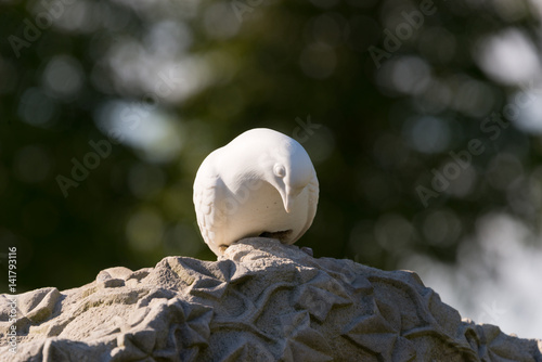 textured tombstone with white dove