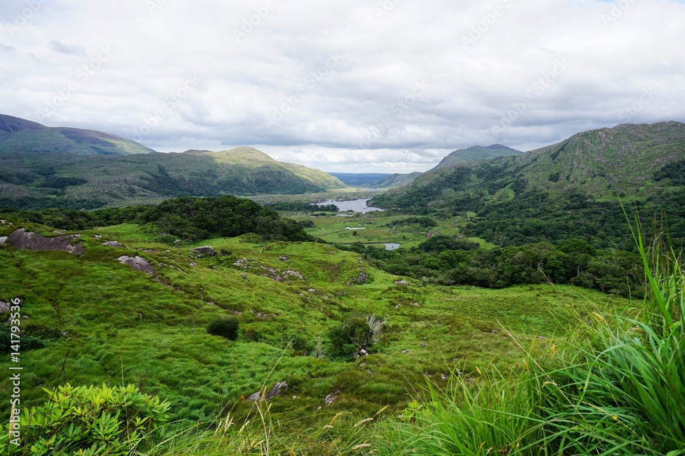 Obraz premium Landschaft in Irland