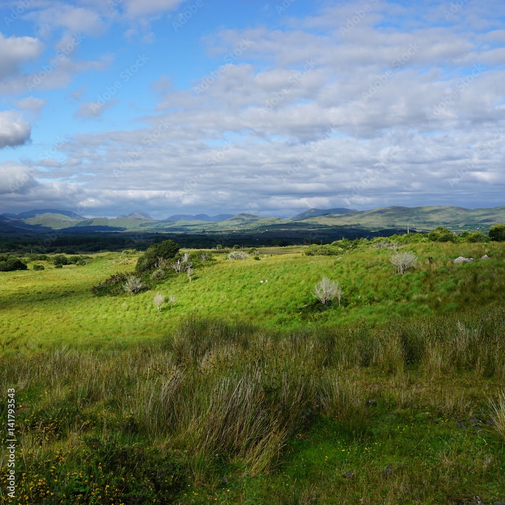 Landschaft in Irland