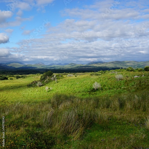 Landschaft in Irland